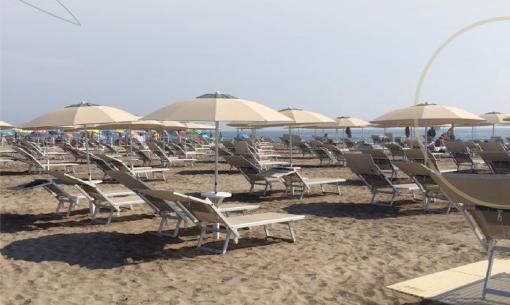 Spiaggia con ombrelloni e lettini vuoti, giornata soleggiata.